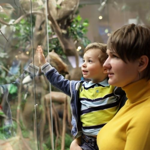 How Can Operators Use Marketing to Maximise Revenue At Their Visitor Attraction?