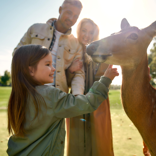 Staycation or Vacation? How UK Tourism Levels Might Affect Your Attraction This Summer